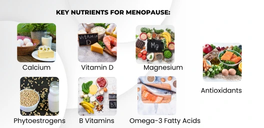 Key Nutrients for Menopause